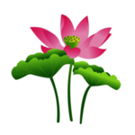 荷花元素