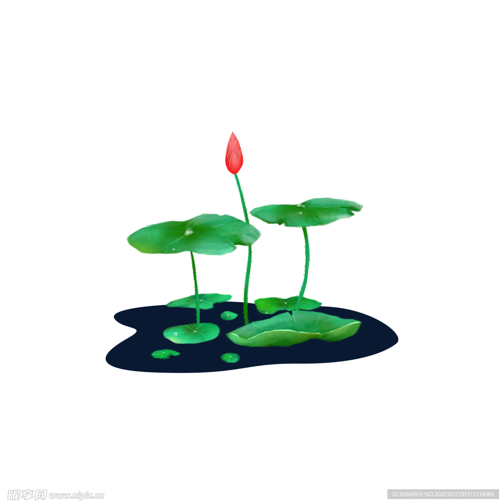荷花元素