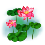 荷花元素