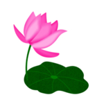 荷花元素