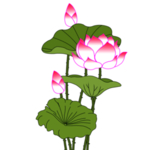 荷花元素
