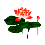 荷花元素