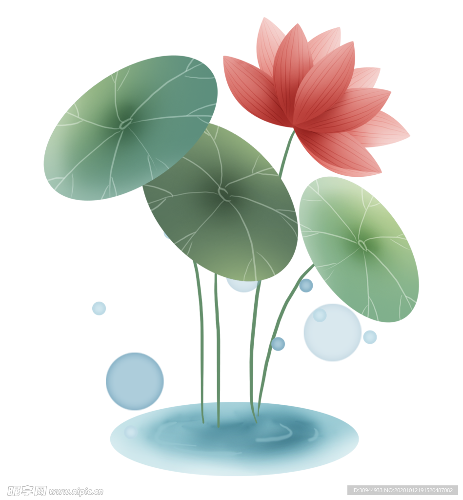 荷花元素