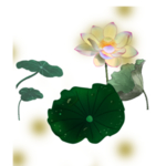 荷花元素