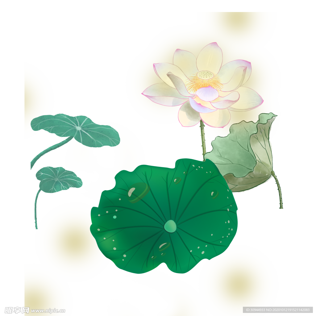 荷花元素