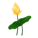 荷花元素