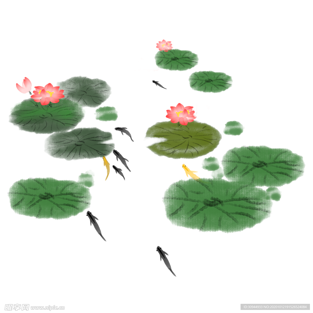 荷花元素