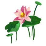 荷花元素