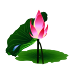荷花元素