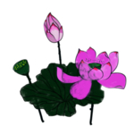 荷花元素