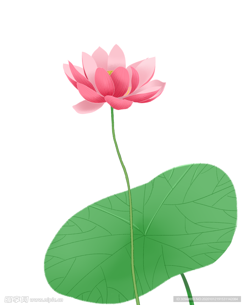 荷花元素