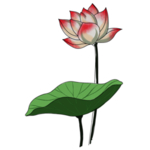 荷花元素