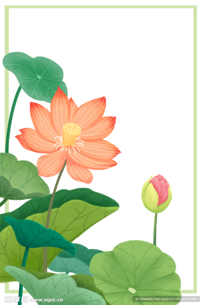 荷花元素