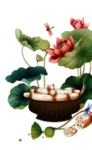 荷花元素