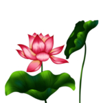 荷花元素