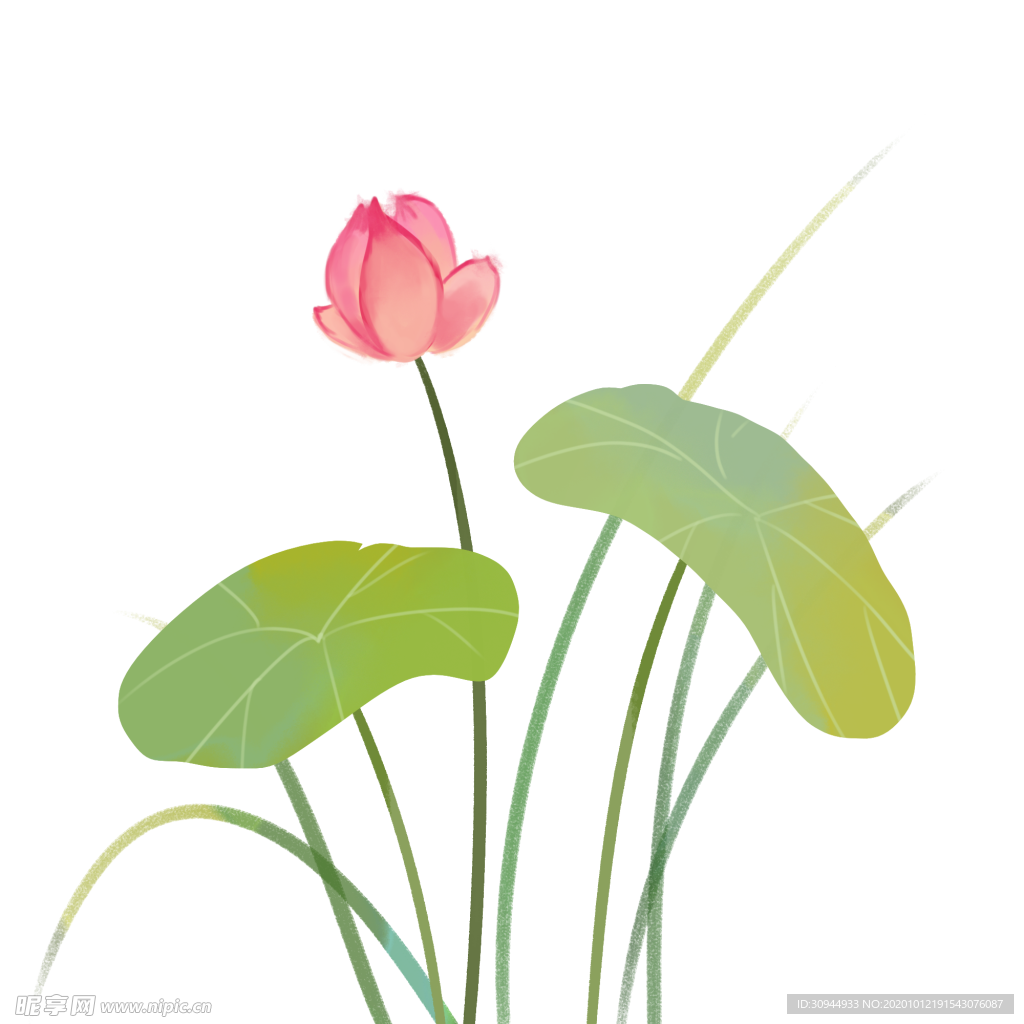 荷花元素