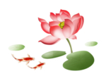 荷花元素