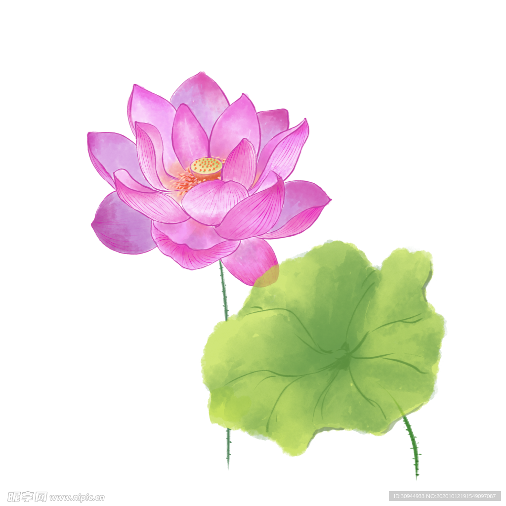 荷花元素