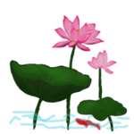 荷花元素