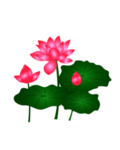 荷花元素