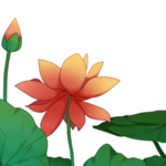 荷花元素