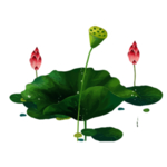 荷花元素