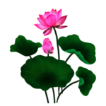 荷花元素