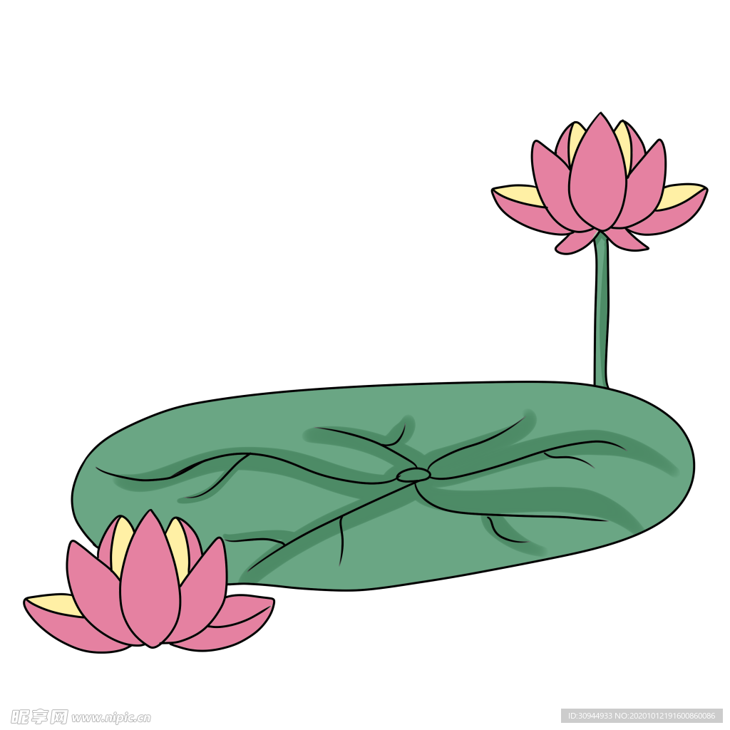 荷花元素
