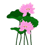 荷花元素