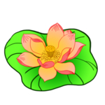 荷花元素