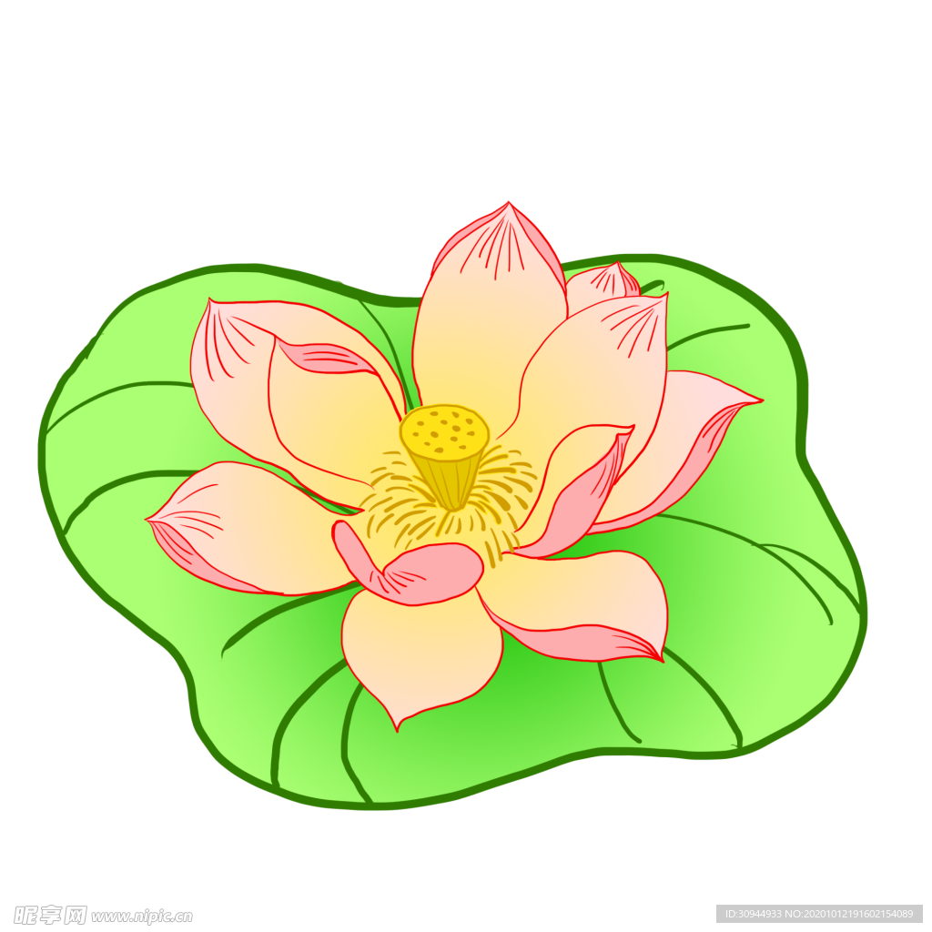荷花元素
