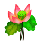 荷花元素