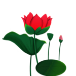 荷花元素