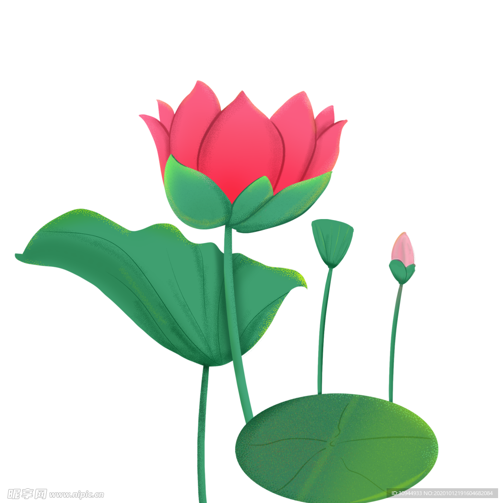 荷花元素