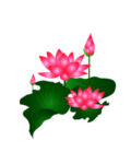 荷花元素