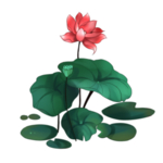 荷花元素