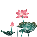 荷花元素