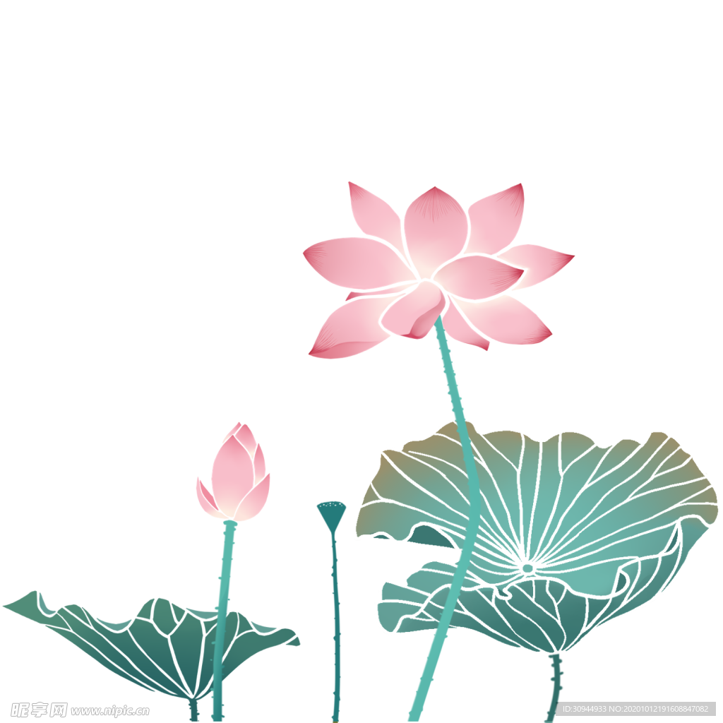 荷花元素