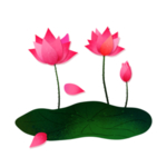 荷花元素