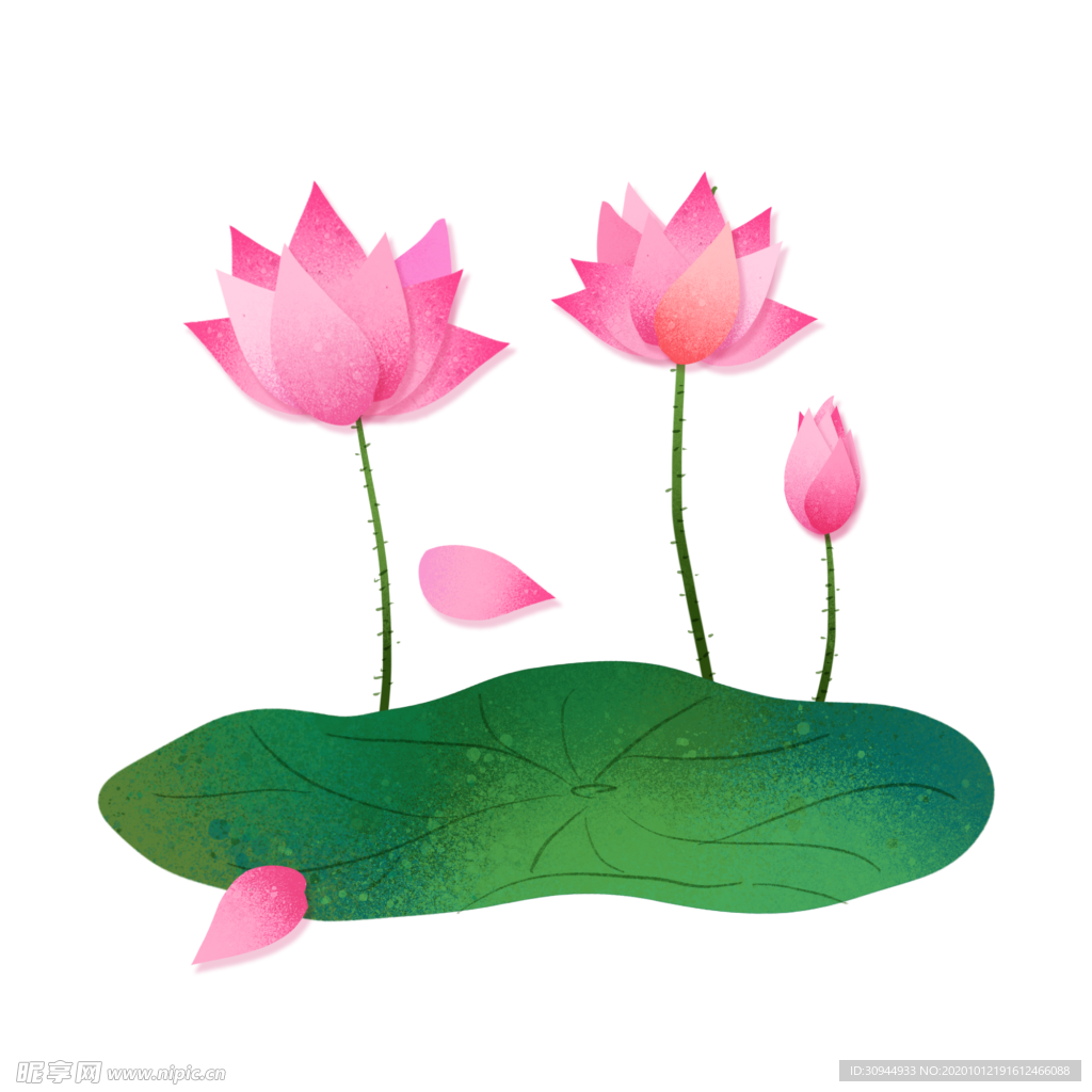 荷花元素