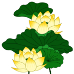 荷花元素