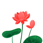 荷花元素