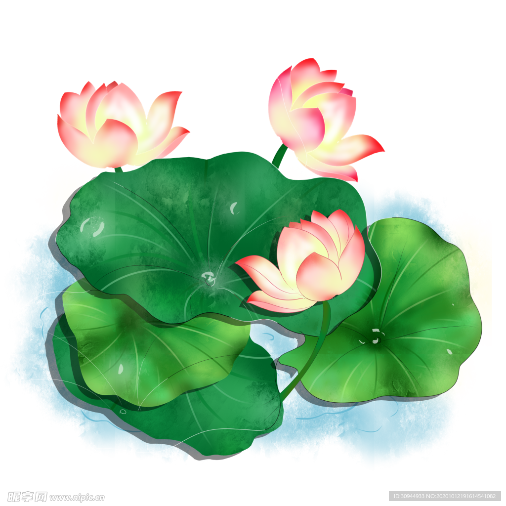 荷花元素