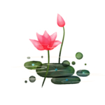 荷花元素