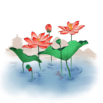 荷花元素