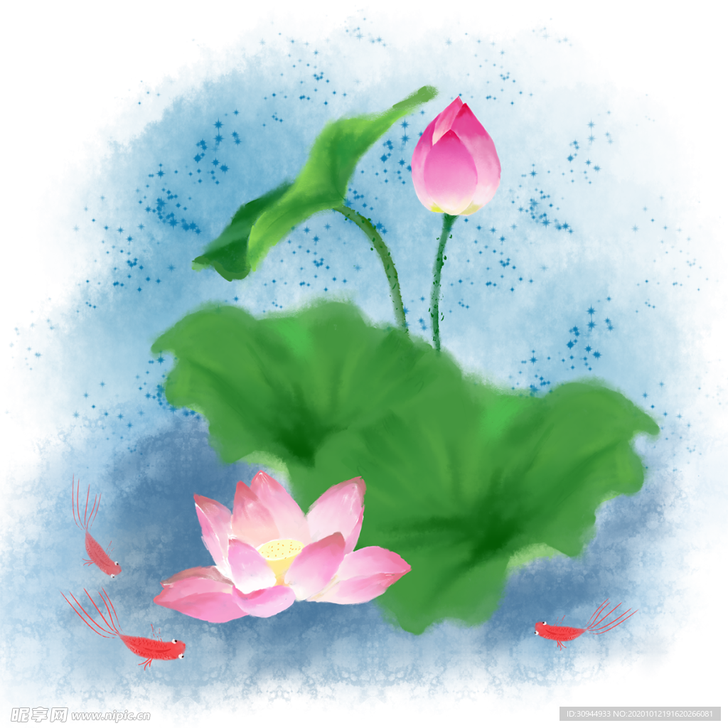 荷花元素