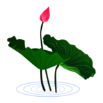 荷花元素