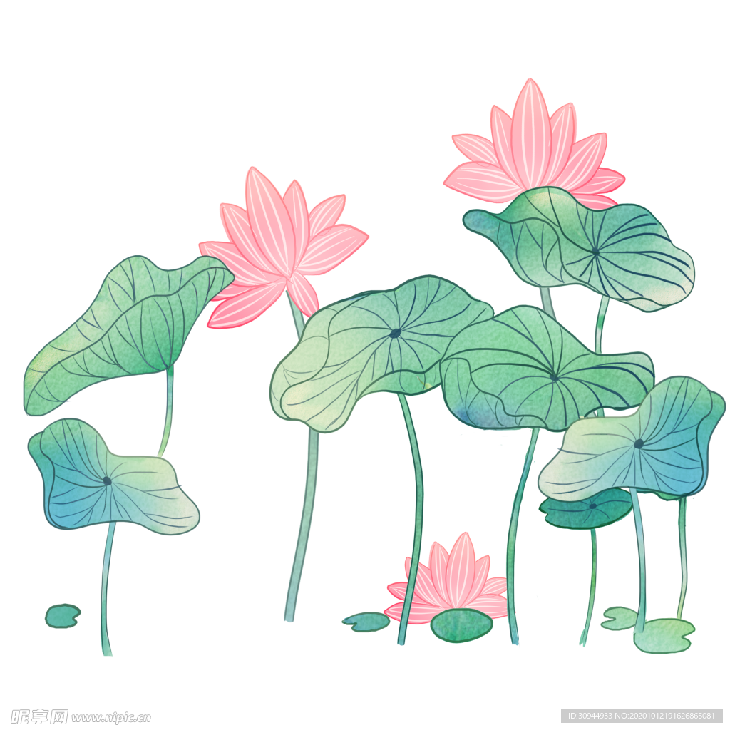 荷花元素