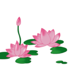 荷花元素