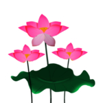 荷花元素